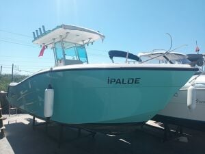 İkinci El Kaya Marin Raptor X + Tohatsu 115 HP