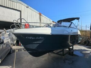 2. El Darekco Texas 597 Cruiser + Suzuki DF 140 Dıştan Takma Deniz Motoru