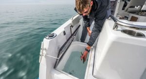 Beneteau Antares 8 Fishing + Suzuki DF 250 APX Dıştan Takma Deniz Motoru