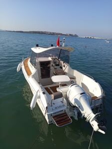 Darekco Texas 540 Pilothouse + Suzuki DF 70 ATL Dıştan Takma Deniz Motoru Beyaz