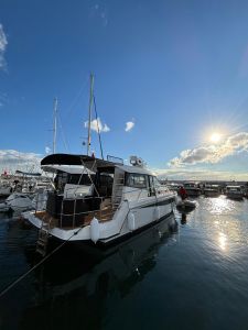 Odysseya Platinum 40 + Yanmar 250 HP