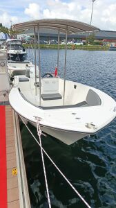 Seagull 4.95 Center Console