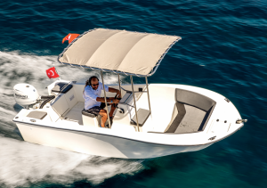 Seagull 4.95 Center Console