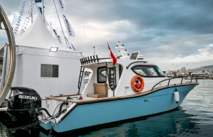 Seagull 9.25 Cabin Cruiser