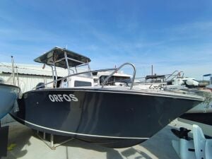 İkinci el Seagull 6.40 Center Console + Suzuki DF200 APX Dıştan Takma Motor