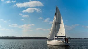 Odysseya S36 Yelkenli
